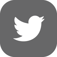 krikya twitter